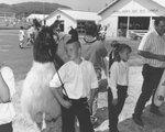 Holmes County Fair #15: Boy with Llama by Daniel P. Younger
