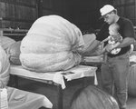 Wayne County Fair #8: Father with Baby Looking at Prized Gourd by Daniel P. Younger