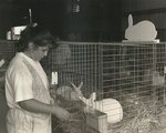 Franklin County Fair #32: Girl Tending to Rabbits by Daniel P. Younger