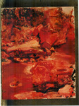 Stone Series -- Ya'an Shangri Red Rocks (Two) 石头系列 -- 雅安上里红石（二） by Chun-Ya ZHOU 周春芽