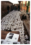 “Trampling Face”-- Self-treatment “踩脸”-- 自我治疗 by Xin CANG 苍鑫